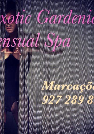 Erotic massage Porto Velho